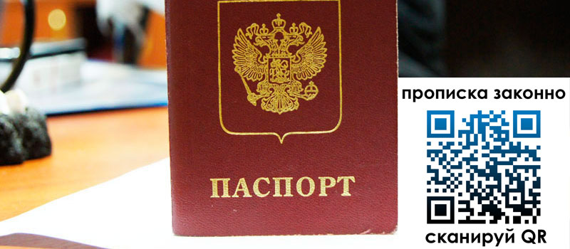 прописка в Вязьме